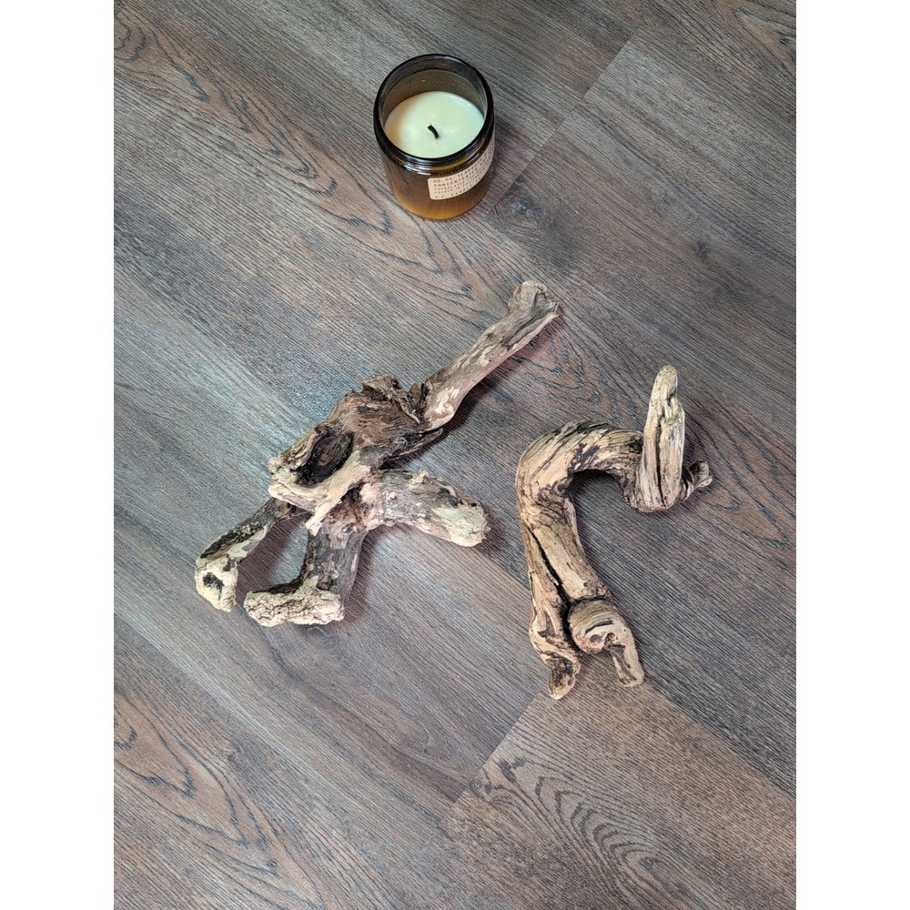 Driftwood So Cal CA Beach Ocean Wood Sculpture Art Crafts Garden Decor Lot Of 2